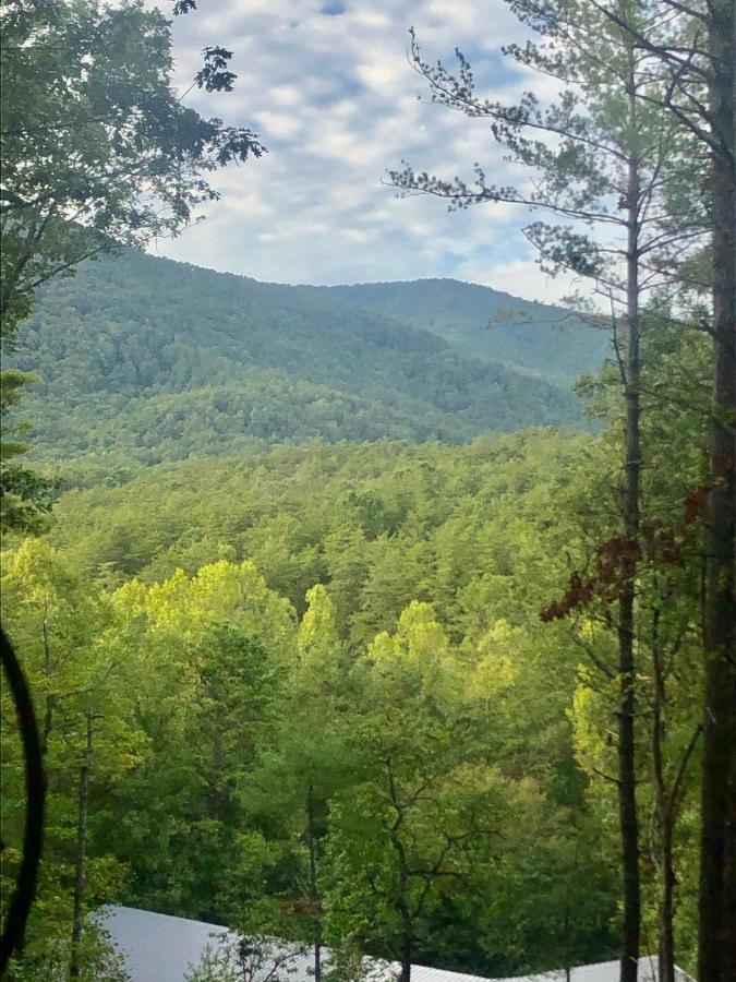 Mountain-Top Cabin Get-Away With Hot Tub And A View Sautee Nacoochee Extérieur photo