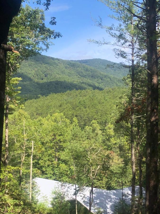 Mountain-Top Cabin Get-Away With Hot Tub And A View Sautee Nacoochee Extérieur photo